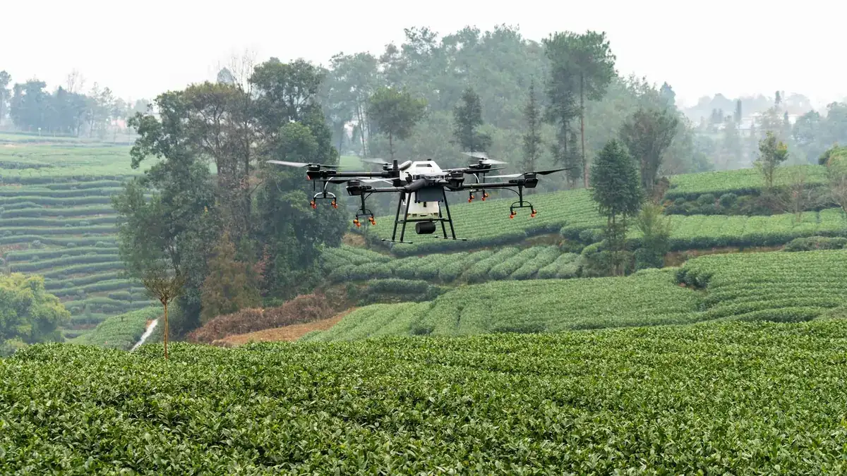 Agricultural operations over Kenyan farmland